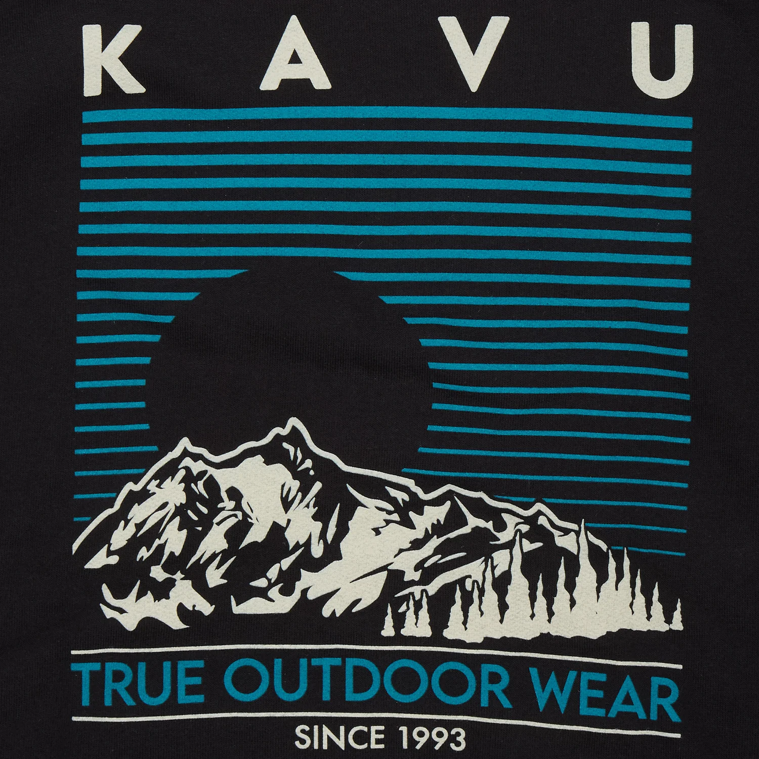 KAVU Landscape Hoodie (Black) - Image 4