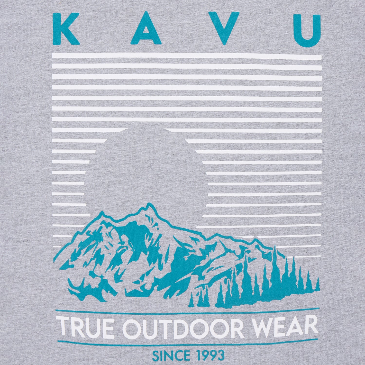 KAVU Landscape T-Shirt (Dark Grey) - Image 4
